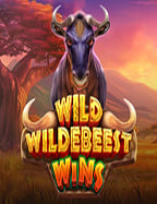 wm casino เครดิตฟรี สัมผัสประสบการณ์เล่นสล็อตออนไลน์