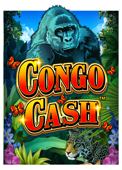 ทดลอง ยิง ปลา sa กับประสบการณ์ที่คุณต้องลองสักครั้ง